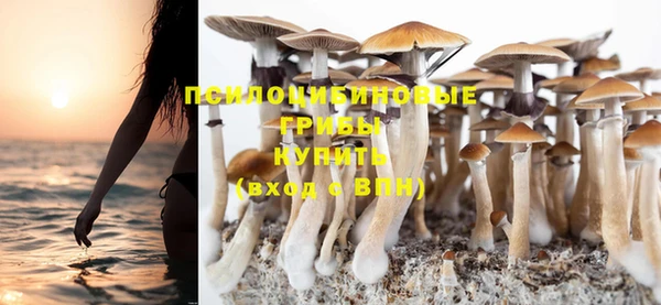 прущие грибы Уссурийск