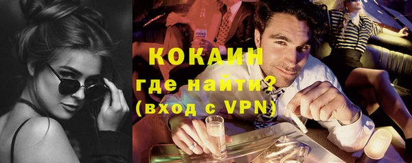 шишки Пестово