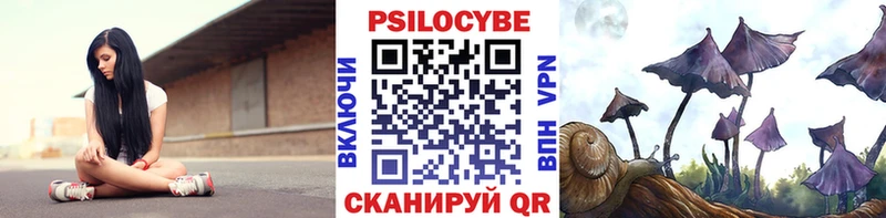 ссылка на мегу ТОР  Велиж  Псилоцибиновые грибы ЛСД 